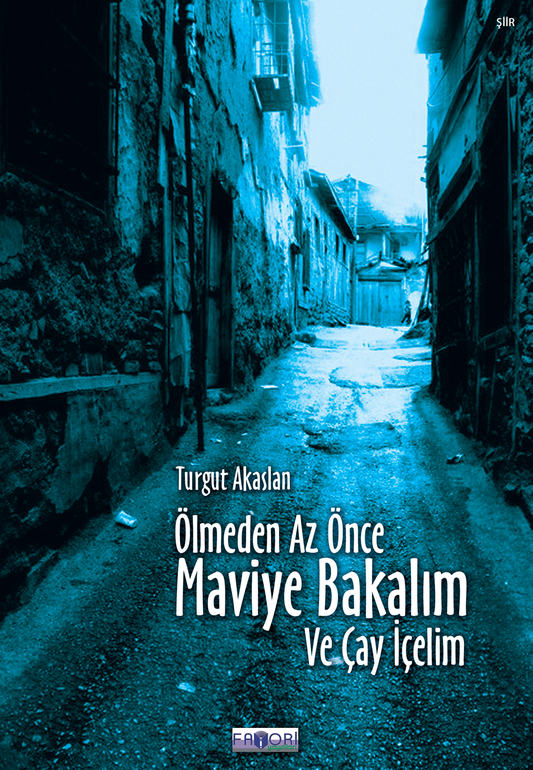 Maviye Bakalım