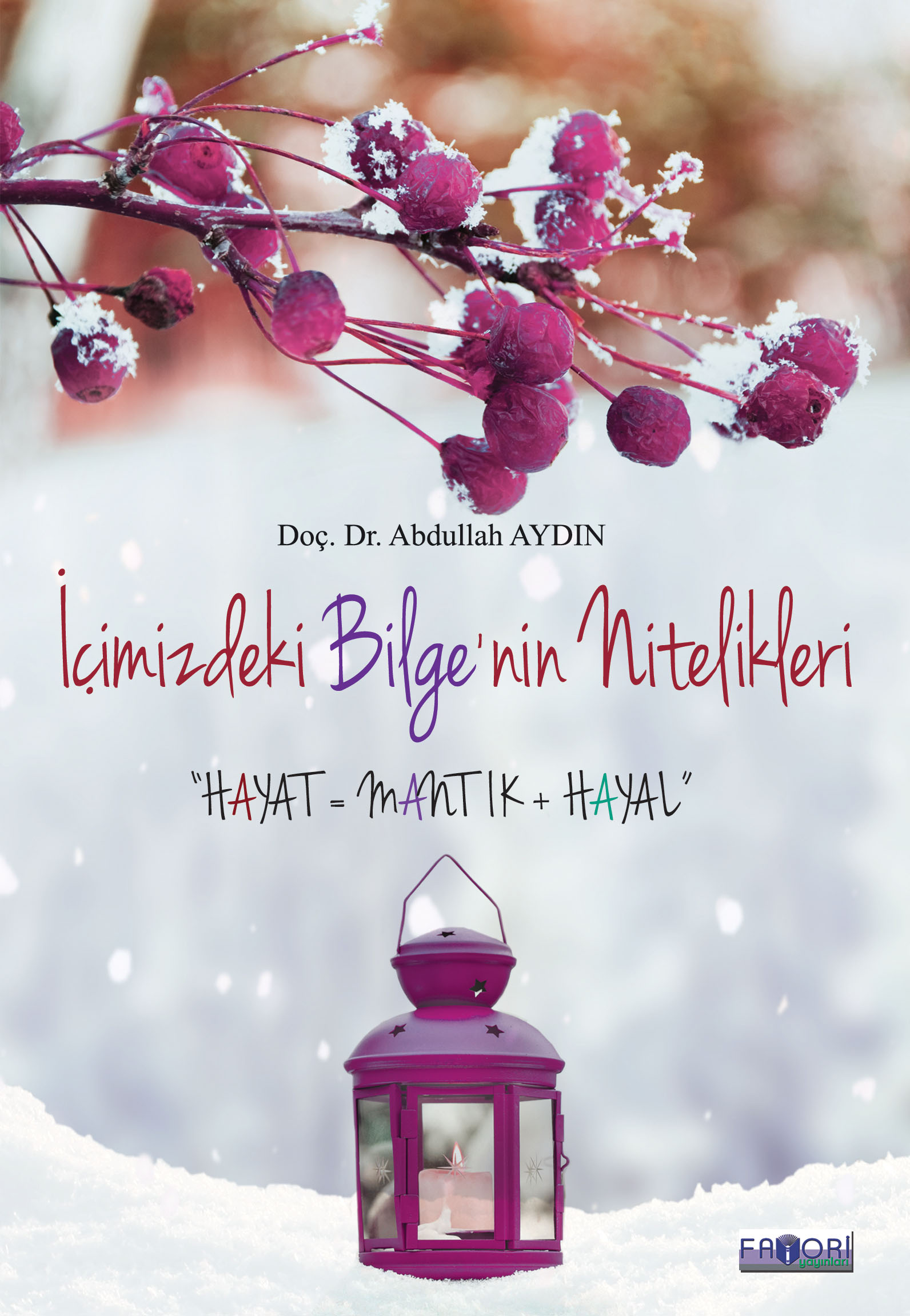 İçimizdeki Bilge\ nin Nitelikleri