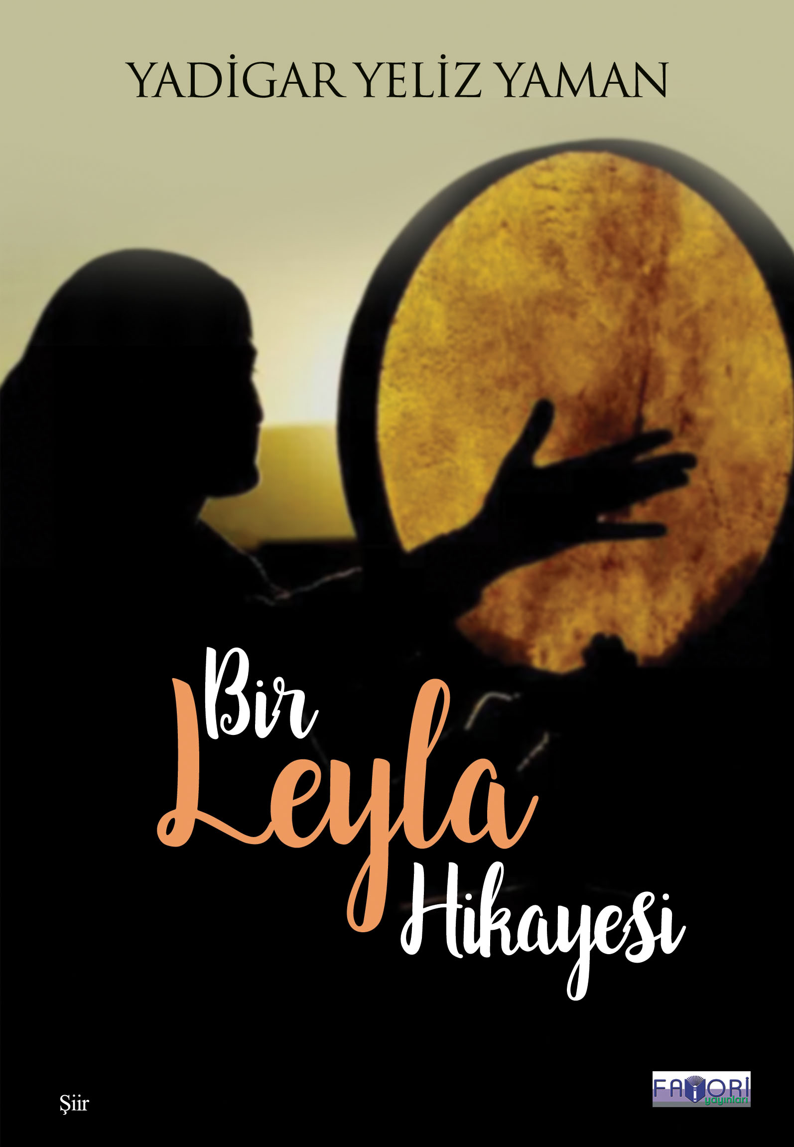 Bir Leyla Hikayesi