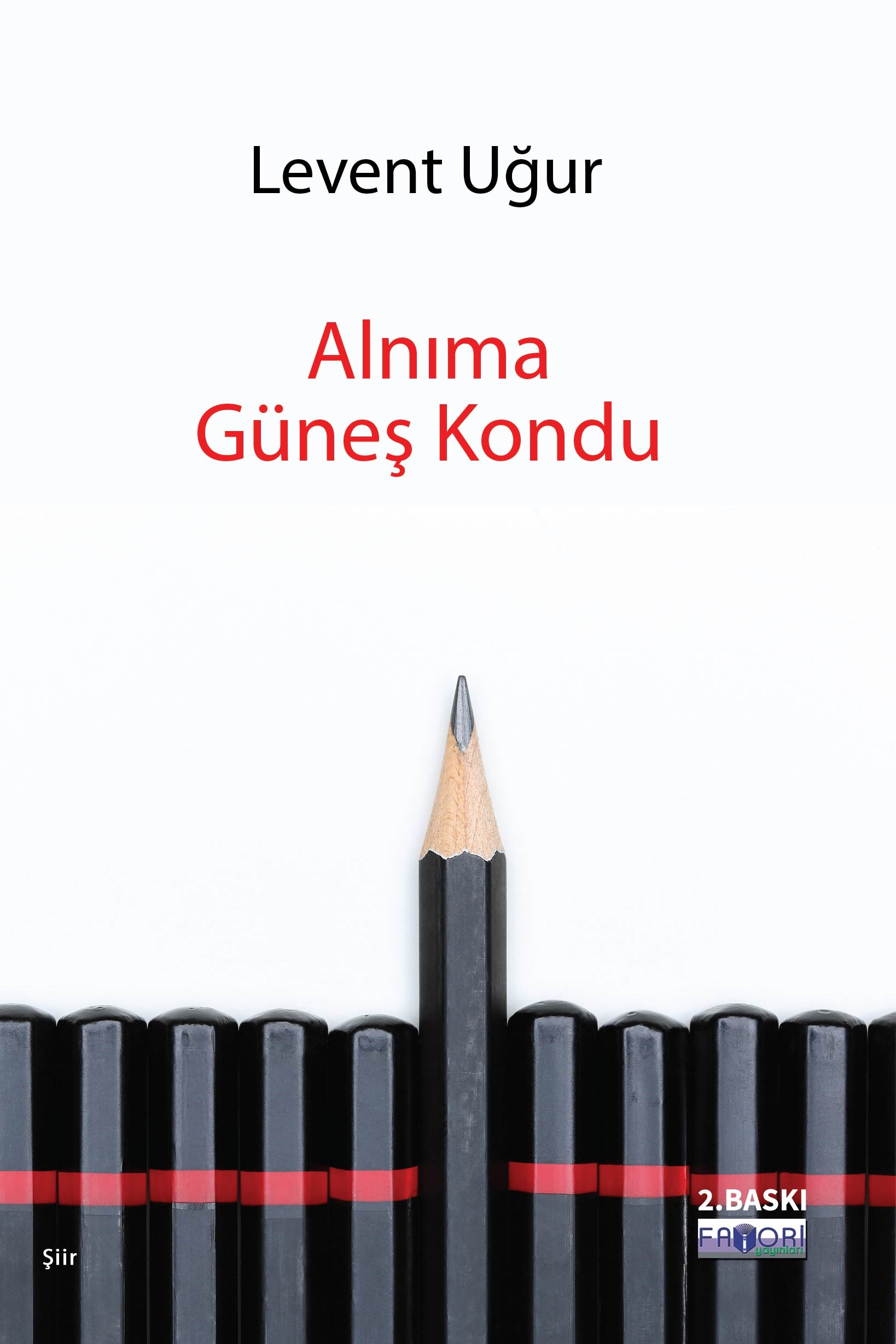 Alnıma Güneş Kondu -2-